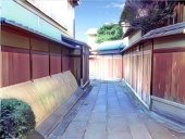 ハイ背景！