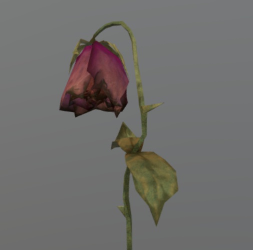 Dead Flower Garden