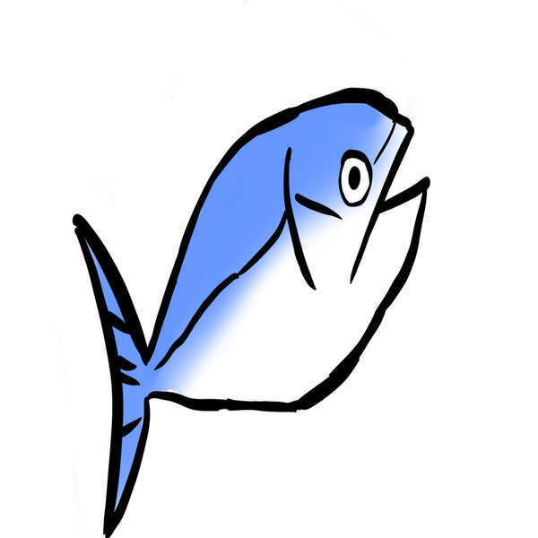 shakipe