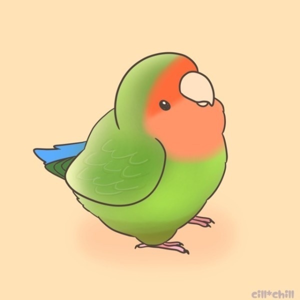 ことり工房chill*chill