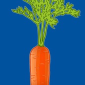 CARROT-P1