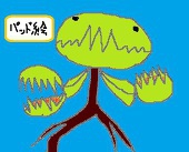 honnnonukegara＋NN