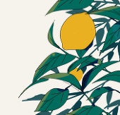 mozu-xxxx