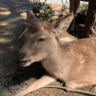 ヨクラボ