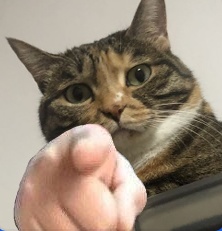 NyanyaSHOP