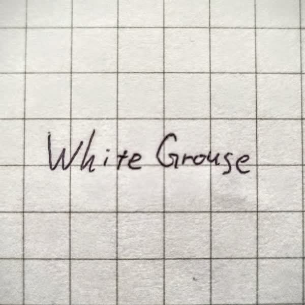 WhiteGrouse