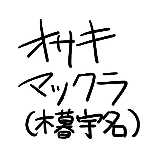 オサキマックラ木暮宇名支店