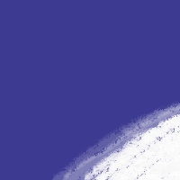 砂に根は張れぬ