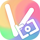 VpicProject