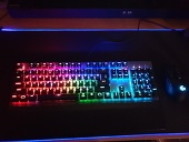 avglv50