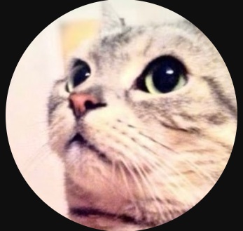 野良猫Tools