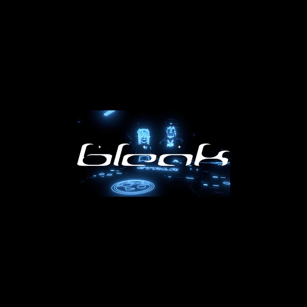 bleakvrc