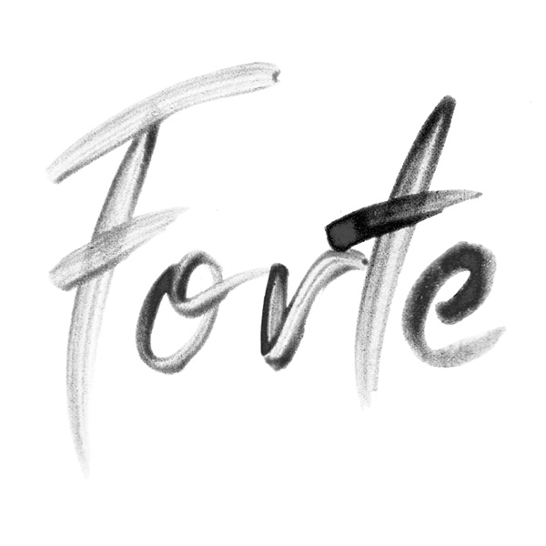 forte-33