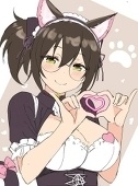 kitnxivrc