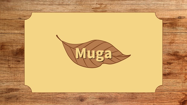 muga_shop