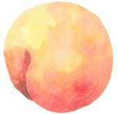 peonylocket