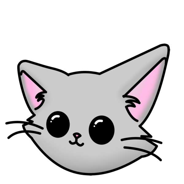 kittco36 Shop