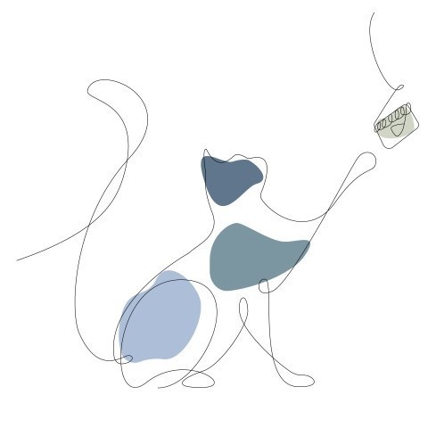 あさぼーショップ