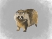 hamuzoo
