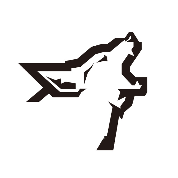 COYOTE 3DCG STUDIO