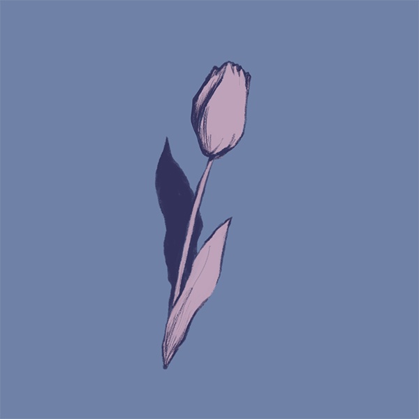 BMini shop