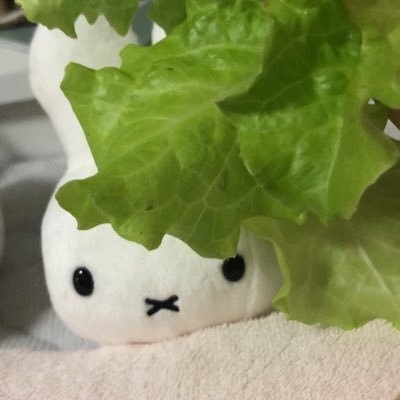 生活圏