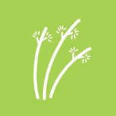 igusa-no-sozai