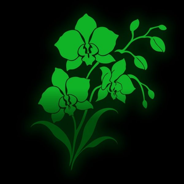 事務所Orchid