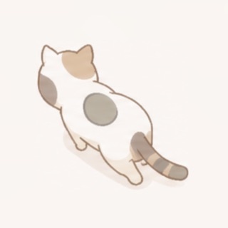 ねこ置き場