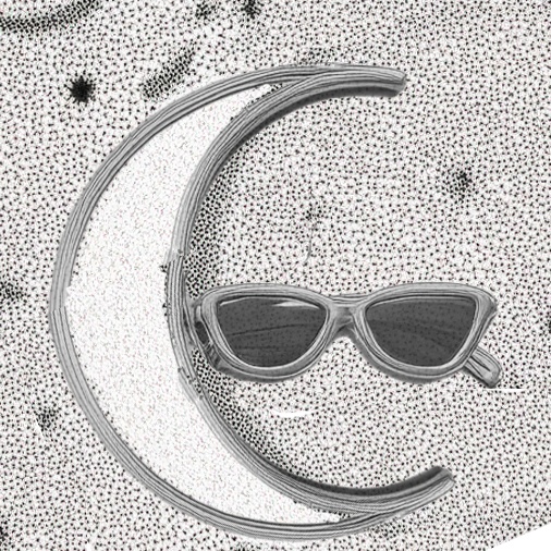 Mr.MoonHead