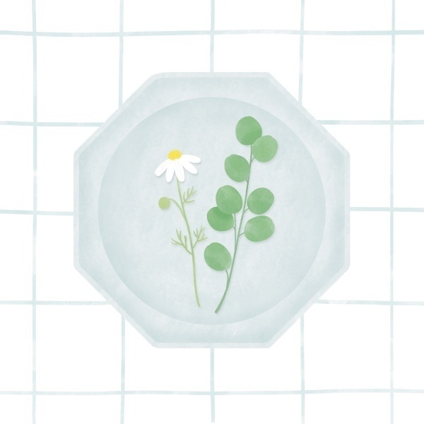 atelier arrosage