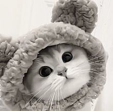 アートショップ