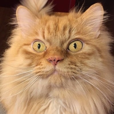 しぐれんのプラグイン工場