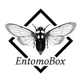 EntomoBox