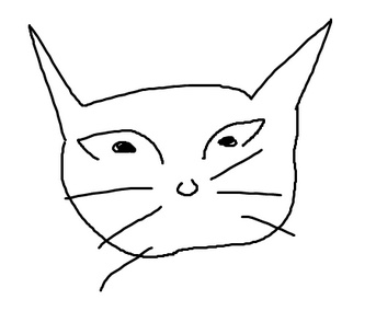 syndromeewrks