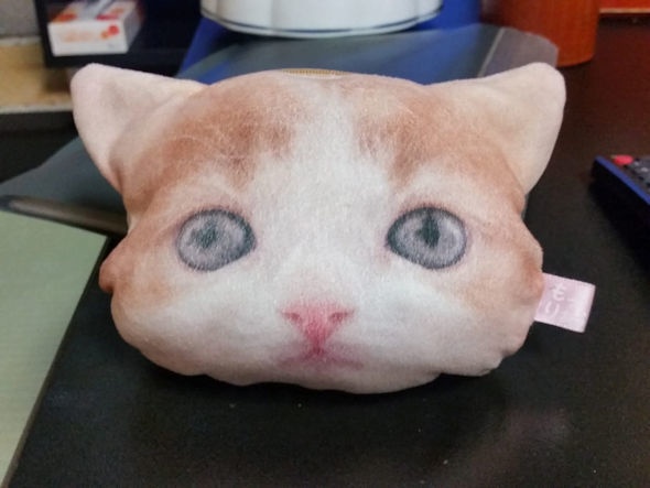 もりつち