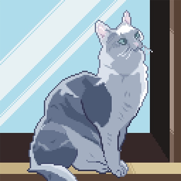 kotamaru