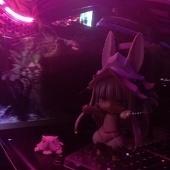 nanachinochi