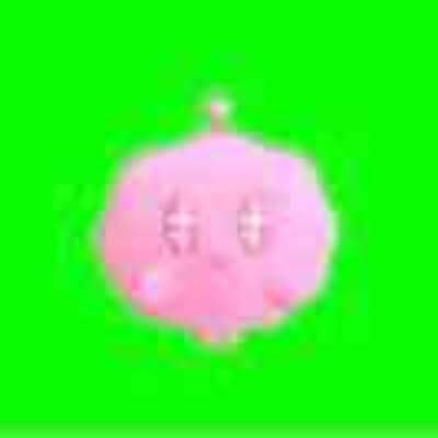 いやしんぼ生命設計研究所