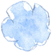 Bitty Blue Bloom