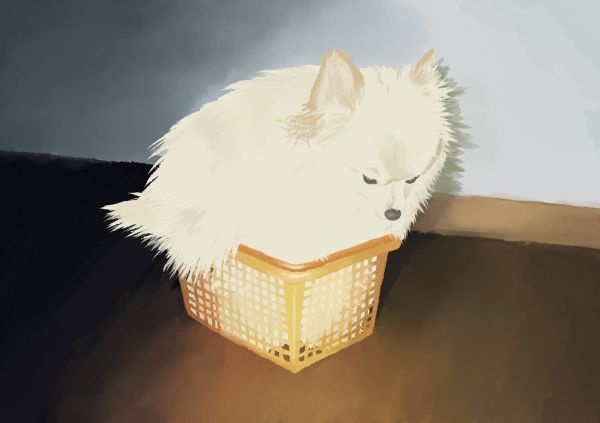 かしかわ
