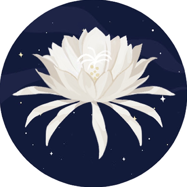 長夜の蒐集室