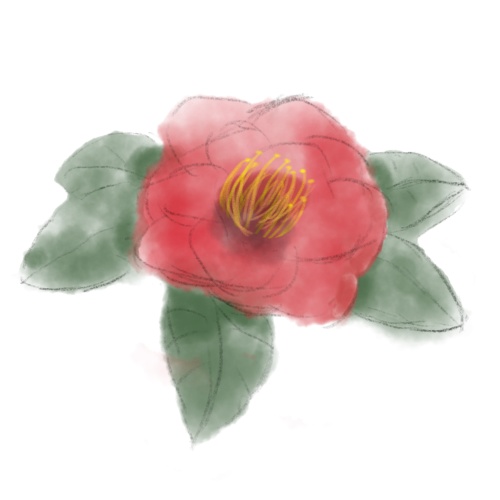 山茶花工房