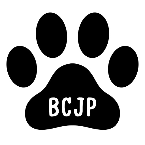 BlackCat Shop