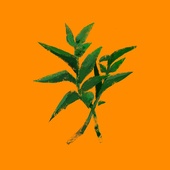 ピクルス商店