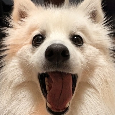 ラベ