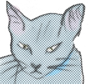 オニクグラズの夜ショップ