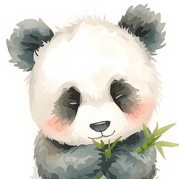 panda屋