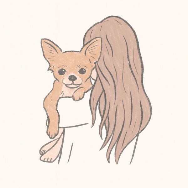 gentle day with pet