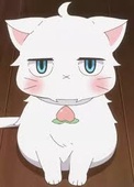t-tcat